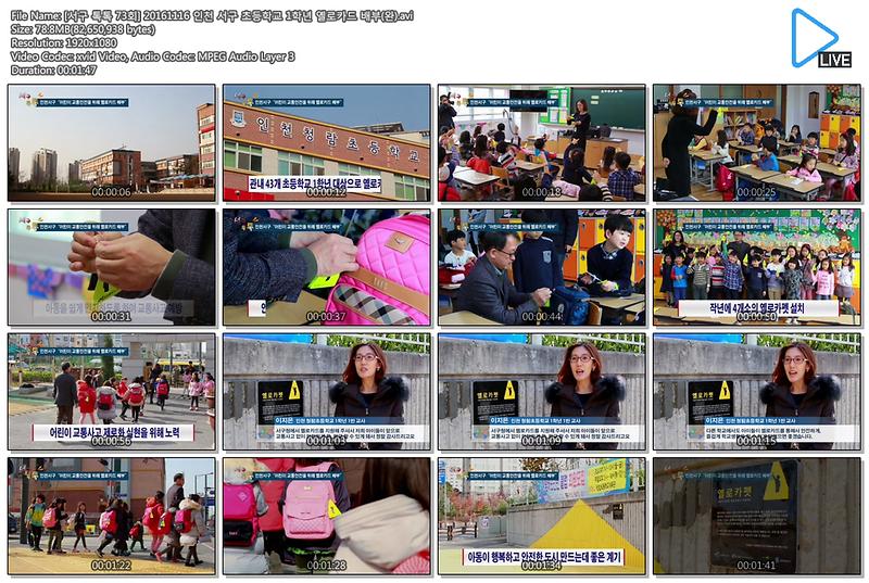 [서구 톡톡 73회] 20161116 인천 서구 초등학교 1학년 옐로카드 배부 사진